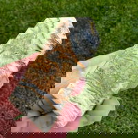 Turn/obelisc jasp albina m2, druzy.ro - Cristale, Home Deco