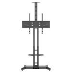 HP Twin Stand HD, Hagor