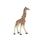Figurina Papo Pui girafa