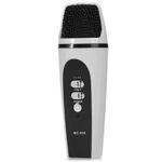 Microfon Mini MC-919 Karaoke cu Fir USB, GAVE