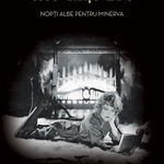 Nopti albe pentru Minerva (paperback) - Rodica Ojog-Brasoveanu