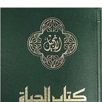 Arabic/English Bilingual New Testament-PR-FL/NIV, Paperback - Zondervan