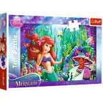 Puzzle Ariel - Ascunselea intre prieteni