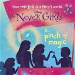 Never Girls #7: The Never Girls) (Stepping Stone Books)