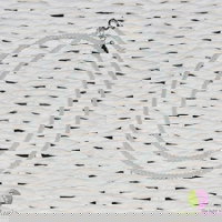 Colier acvamarin pietre micro fatetate 2mm si argint 925, StoneMania Bijou