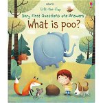 Lift the flap - Very first Q&A - What is poo