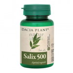 Salix 500 (Aspirina Vegetala) 60Cpr DACIA PLANT, DACIA PLANT