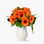 Buchet de 11 gerbera portocalii - Standard, Floria