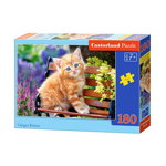 Castorland Puzzle Ginger Kitten 180 piese (018178), Castorland