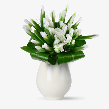 Buchet de 35 irisi albi - Standard, Floria