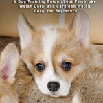 Corgis: A Dog Training Guide about Pembroke Welsh Corgi and Cardigan Welsh Corgi for Beginners - Joseph Lint, Joseph Lint