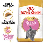 Hrana uscata pentru pisici Royal Canin British Shorthair Kitten 2kg