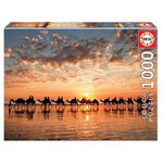 Puzzle 1000 piese golden sunset on cable beach Australia 18492, 