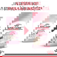 PROMO ROYAL CANIN Mother & BabyCat, hrană uscată pisici, mama și puiul, 2kg + 400g GRATUIT, ROYAL CANIN