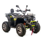 Atv Xtr Pro Farmer 019, Roti 10 Inch, 250cc, 1+1 Viteze, Jante De Aluminu, Culoare Negru/verde, XTR