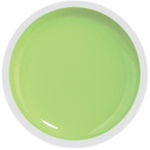 COVER COLOR GEL FSM 065 - CC-065 - Everin.ro, FSM