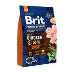 Hrana uscata pentru caini, Brit Premium, Sport, 3Kg, Brit