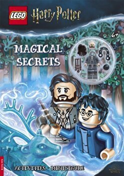 LEGO (R) Harry Potter (TM): Magical Secrets (with Sirius Black minifigure)