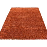 Covor Ayyildiz Carpet, Life Terra, 80x150 cm, rosu caramiziu - Ayyildiz Carpet, Rosu, Ayyildiz Carpet