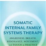 Somatic Internal Family Systems Therapy: Awareness