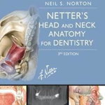 Netter's Head and Neck Anatomy for Dentistry: Netter Anatomia capului și a gâtului pentru Stomatologie (Netter Basic Science)