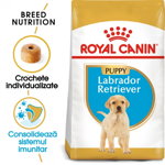 Royal Canin Labrador Puppy hrană uscată câine junior, 12kg, Royal Canin