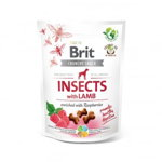 BRIT Care Crunchy Cracker, Insecte și Miel cu Zmeură, recompense fără cereale câini, 200g, Brit