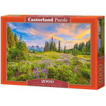 Puzzle 2000 piese Blossoms of Morning, Castorland