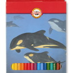 Creioane colorate, 36 culori/set, KOH-I-NOOR Zoo