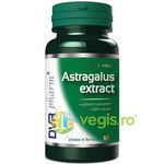 Astragalus Extract 60cps, DVR PHARM