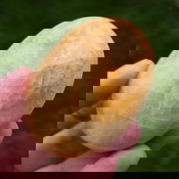 Palmstone calcit portocaliu zebra m2, druzy.ro - Cristale, Home Deco