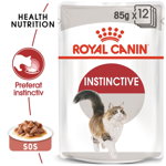 Royal Canin Instinctive In Gravy Adult hrana umeda in sos pentru pisica, 12 x 85 g, ROYAL CANIN