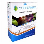Fungicid Coppermax WG 10 kg