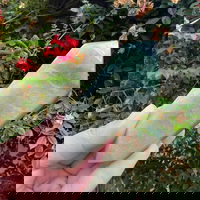 Aventurin dublu varf m2, druzy.ro - Cristale, Home Deco