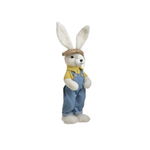 Iepure decorativ, Plus, Multicolor, Male Rabbit