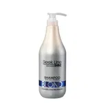 SLEEK LINE - Sampon BLOND - contine pigment neutralizant albastru, 1000ml