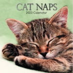 Cat Naps - Träumende Katzen 2023 - 16-Monatskalender (Browntrout Wandkalender)