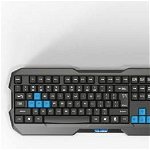 Kit tastatura + mouse + mouse pad E-Blue, 45907, Polygon, cu cablu, EN, E-Blue