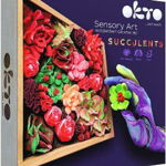 Set creativ: Succulents Passion, -