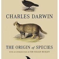 Cele mai frumoase povesti in versuri, 