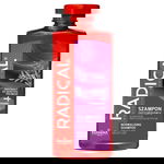 Farmona Radical, Șampon normalizant pentru păr gras, 400 ml, Farmona