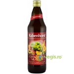 „PENTRU NERVI SI MUSCHI” Suc de fructe, 0.75L RABENHORST, Rabenhorst