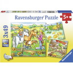Ravensburger - Puzzle Animale de curte, 3x49 piese