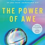 The Power of Awe: Overcome Burnout & Anxiety, Ease Chronic Pain, Find Clarity & Purpose--In Less Than 1 Minute Per Day - Jake Eagle, Jake Eagle