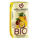 Multi sunrise suc din amestec de fructe - eco-bio 0,2l - Hollinger, HOLLINGER