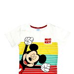 Tricou baieti, bumbac, Mickey Mouse, multicolor, Disney
