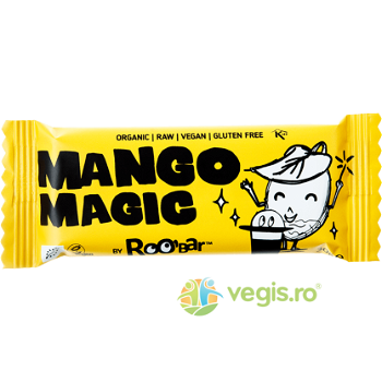 Baton Mango Magic Raw Ecologic/Bio 30g, ROOBAR