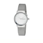 Skagen ceas femei, culoarea auriu, SKW2717, Skagen