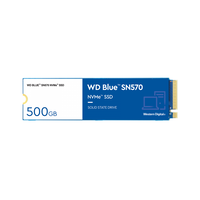Ssd wd blue sn570 nvme 500gb (wds500g3b0c)