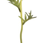 Floare artificiala Anemona mov 30 h, Decorer